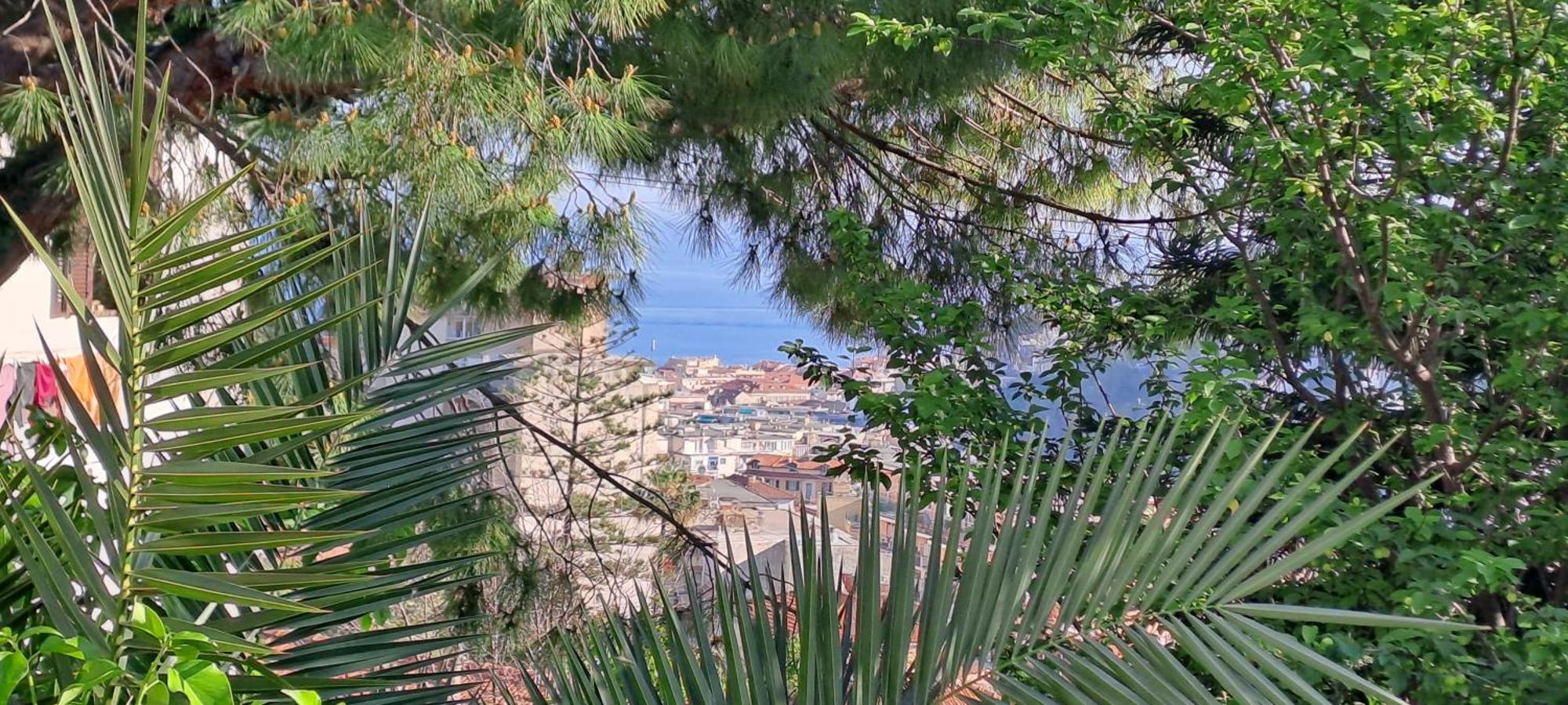 Villetta Fioregreco Sanremo Esterno foto
